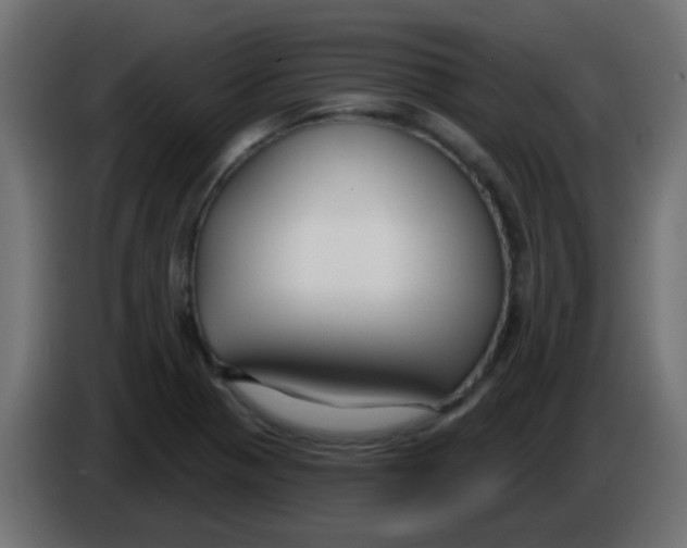 X0000086071321200704132031