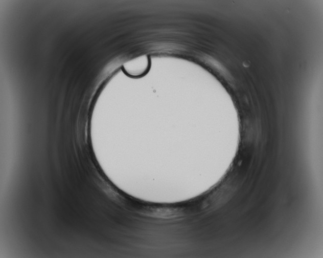 X0000086071322200704132031