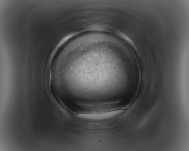 X0000086071323200704132031