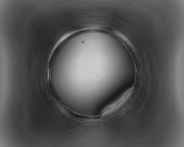 X0000086071324200704132032