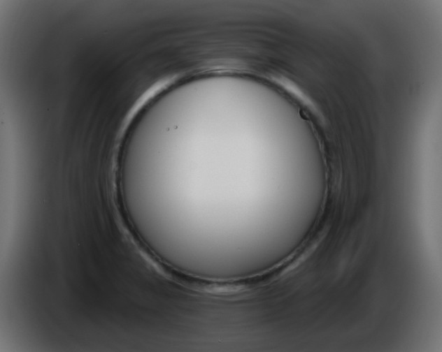 X0000086071325200704132032