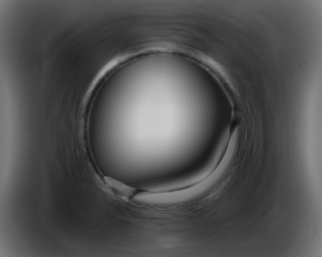 X0000086071326200704132032