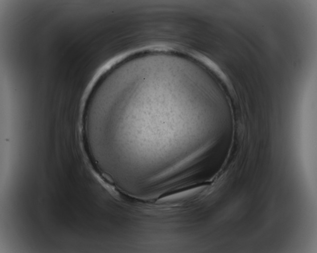X0000086071327200704132032