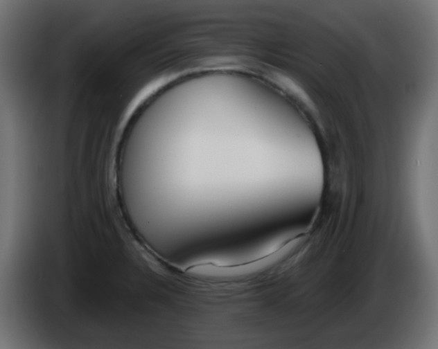 X0000086071328200704132032