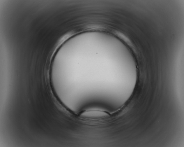 X0000086071330200704132032