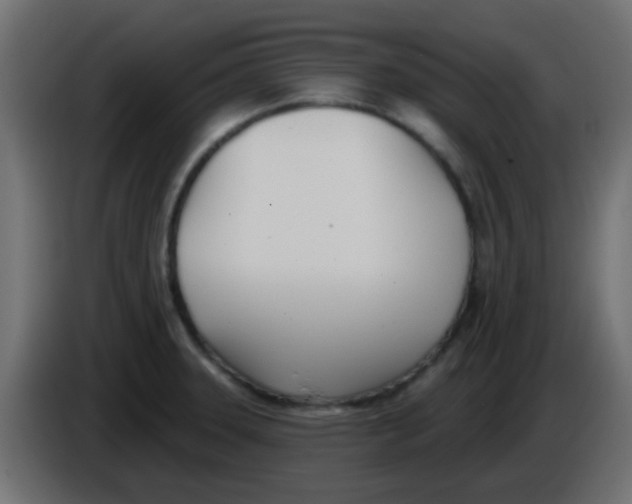 X0000086071331200704132032