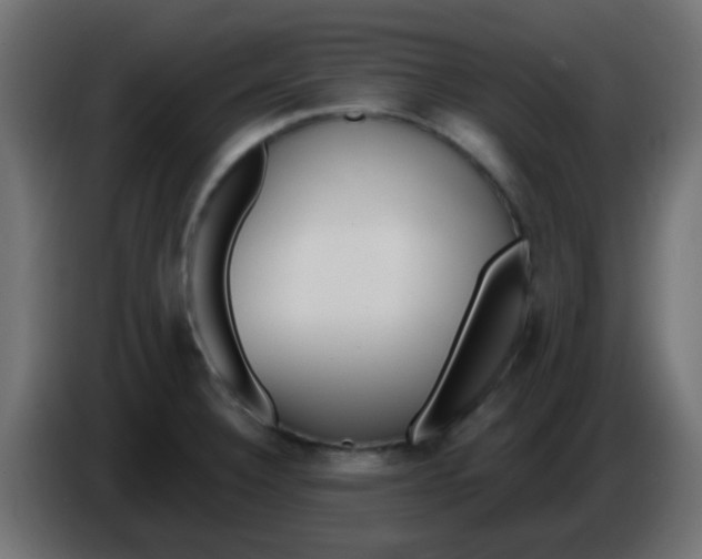 X0000086071332200704132032