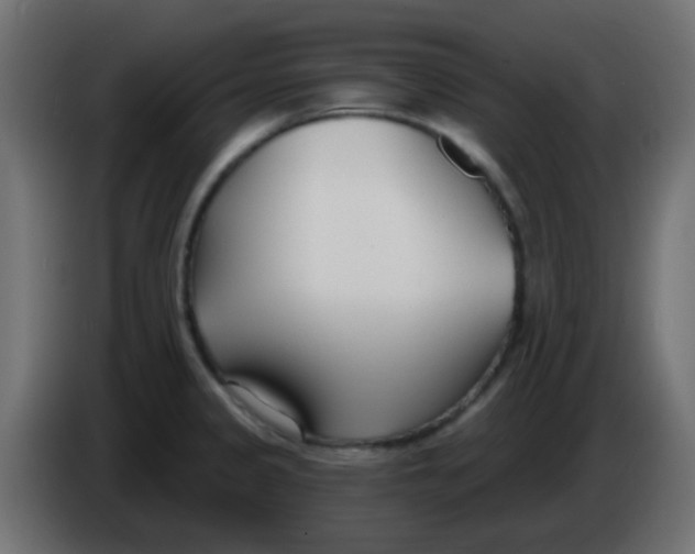 X0000086071333200704132032