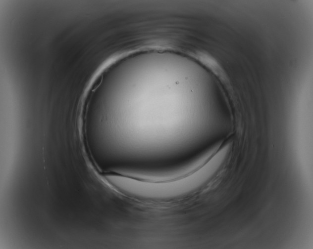 X0000086071334200704132032