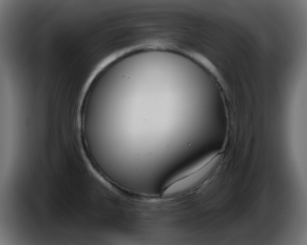 X0000086071335200704132032