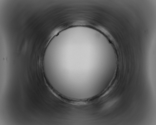 X0000086071337200704132032