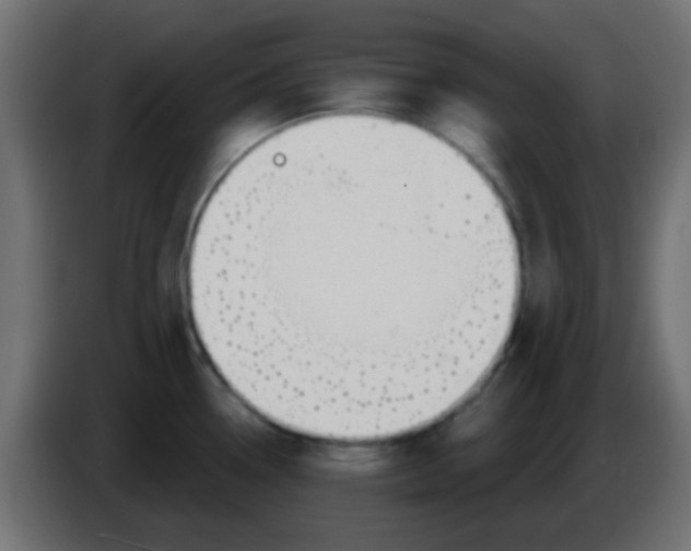 X0000086071338200704132032
