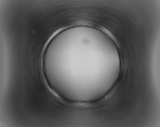 X0000086071339200704132032