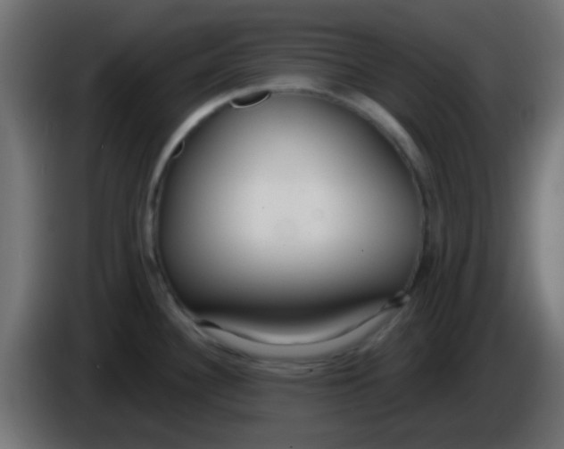 X0000086071340200704132032