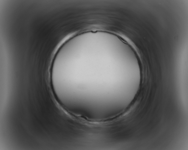 X0000086071341200704132032