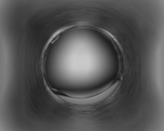 X0000086071342200704132032