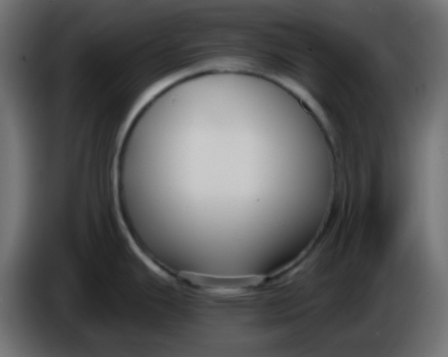 X0000086071343200704132032