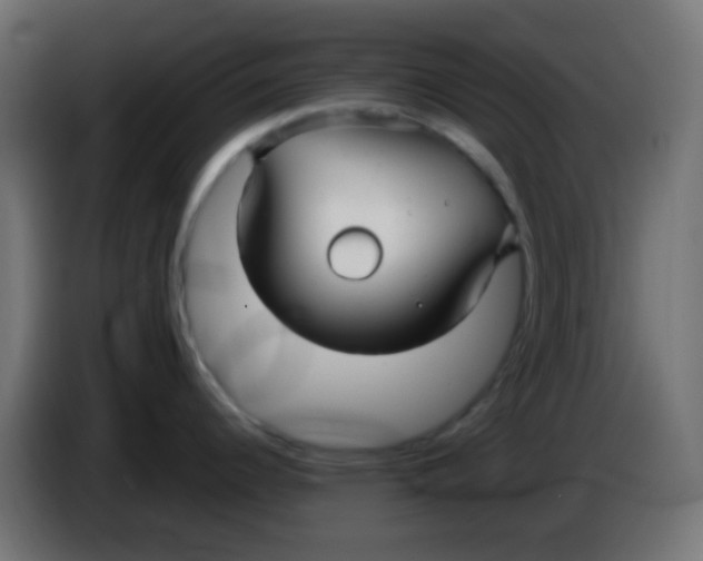 X0000086071344200704132032