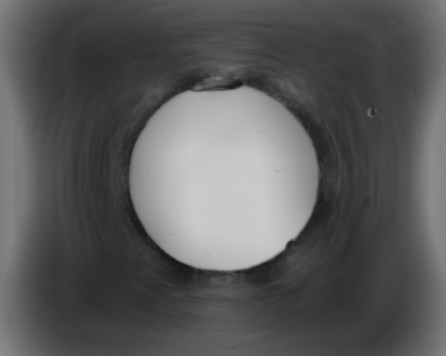 X0000086071345200704132031