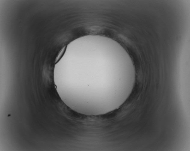 X0000086071346200704132031