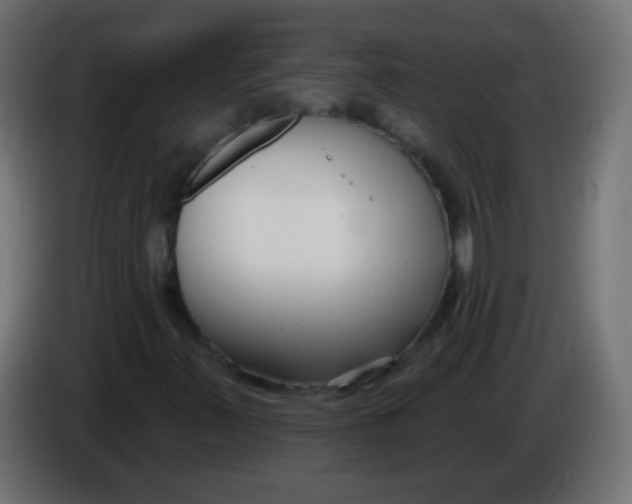 X0000086071347200704132031