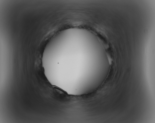 X0000086071349200704132031
