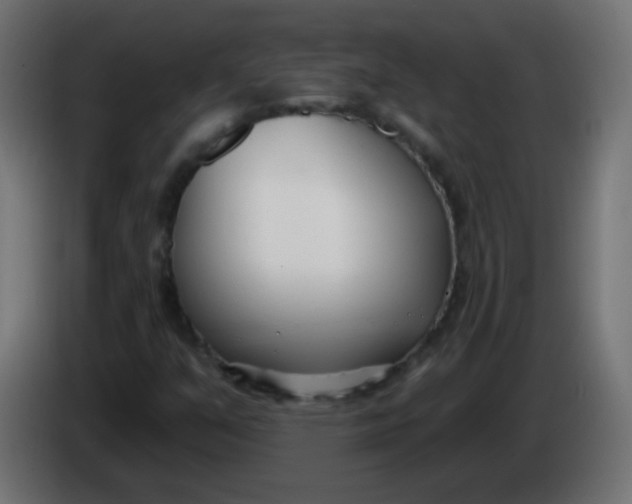 X0000086071351200704132031