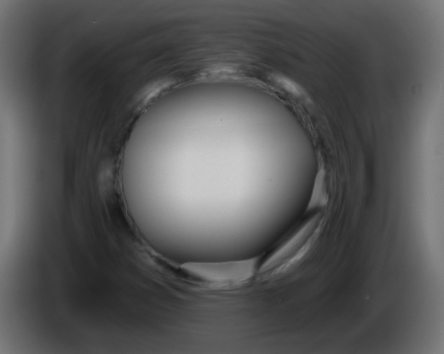 X0000086071353200704132031