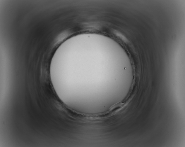 X0000086071354200704132031