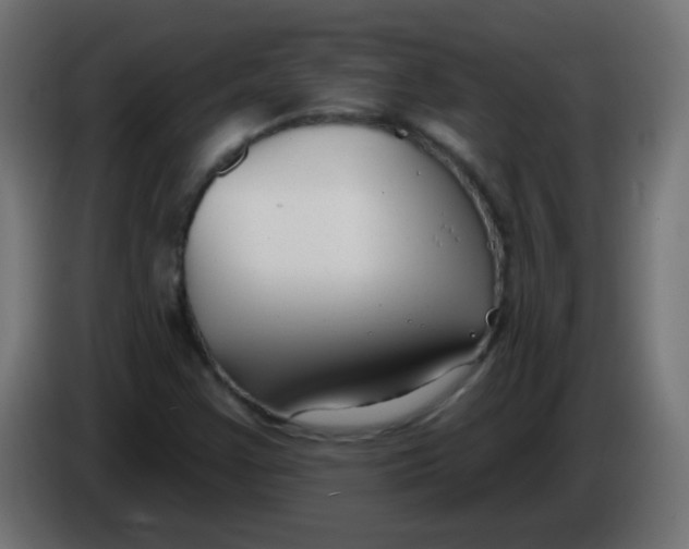 X0000086071355200704132031