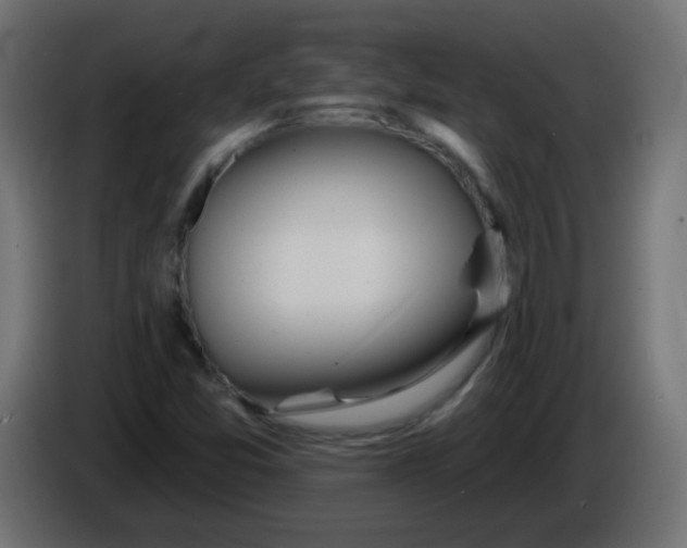 X0000086071357200704132031