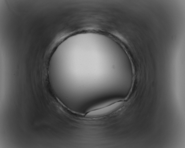 X0000086071359200704132031