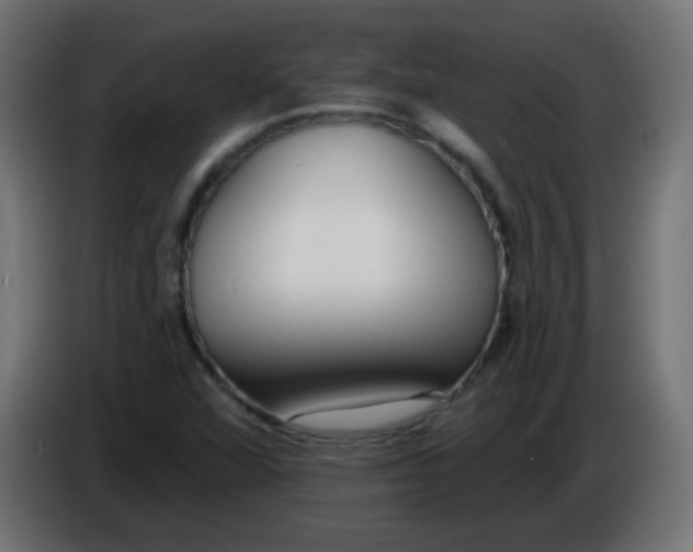 X0000086071360200704132031