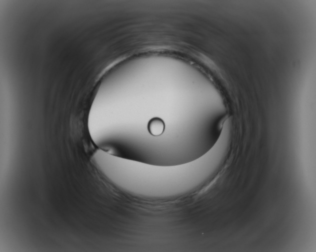 X0000086071361200704132031