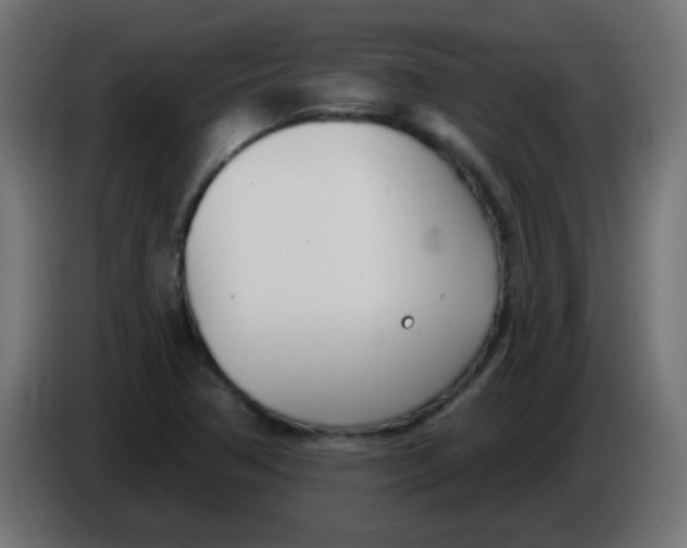 X0000086071362200704132031