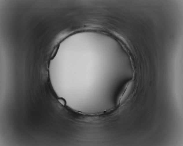 X0000086071363200704132031
