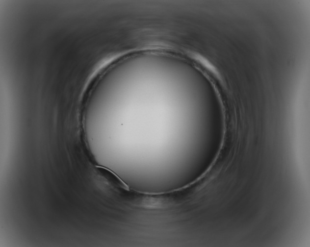 X0000086071364200704132031