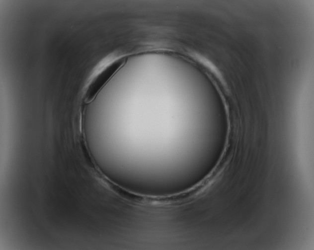 X0000086071365200704132031