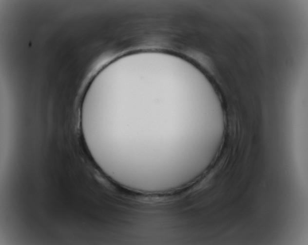 X0000086071366200704132031
