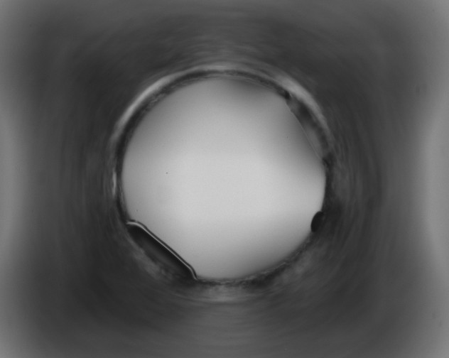 X0000086071368200704132031