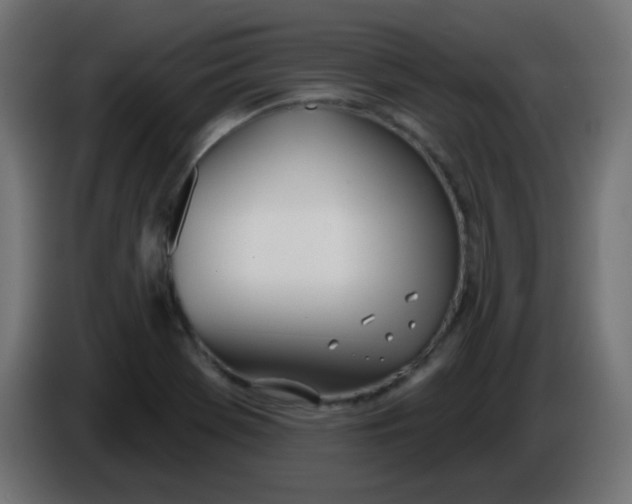 X0000086071369200704132031