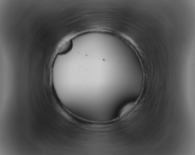 X0000086071371200704132031