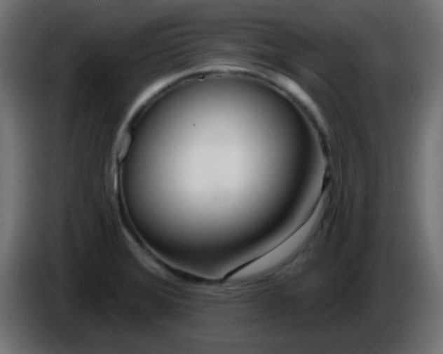 X0000086071372200704132031