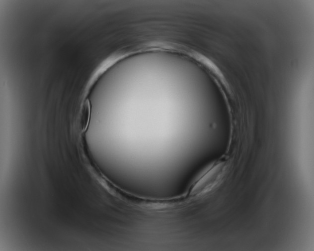 X0000086071373200704132031