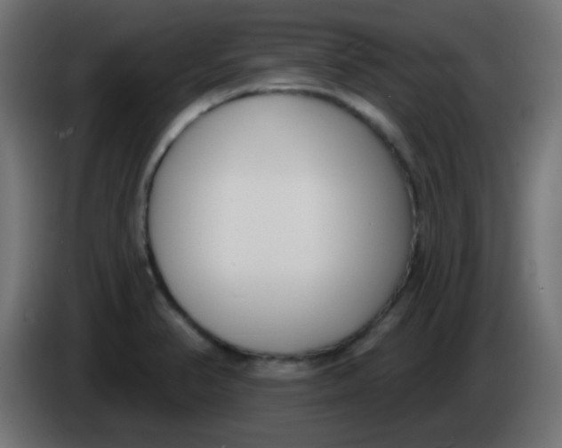 X0000086071374200704132031