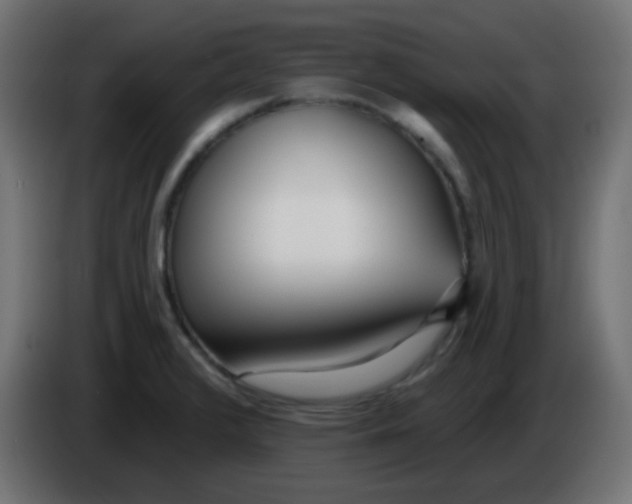X0000086071376200704132031