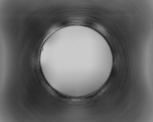 X0000086071378200704132031
