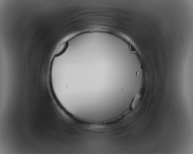 X0000086071379200704132031