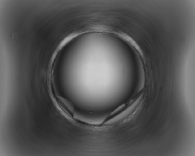 X0000086071381200704132031