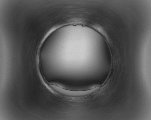 X0000086071383200704132031
